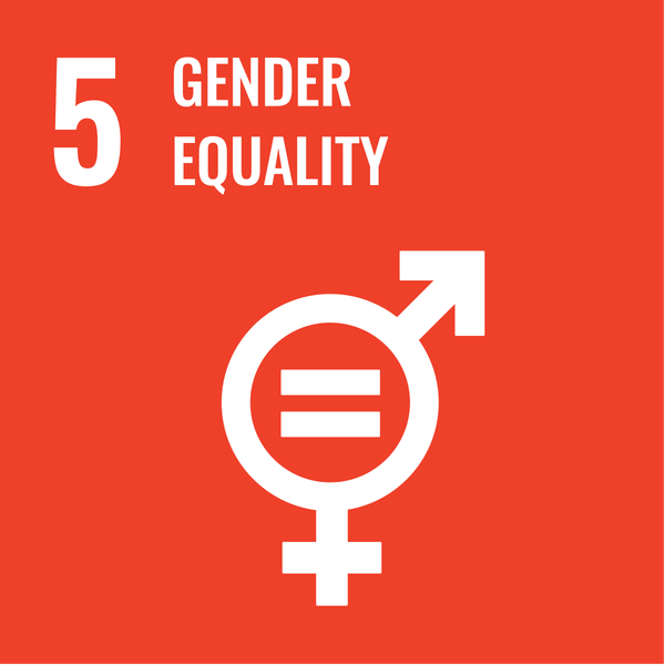 UN Sustainable Development Goal 5: Gender Equality